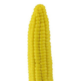 Maïskolf Vibrator - PlayForFun